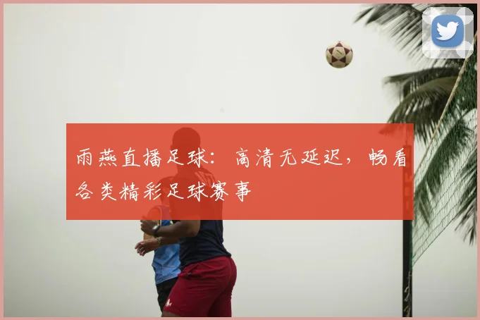 雨燕直播足球：高清无延迟，畅看各类精彩足球赛事