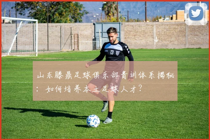 山东滕鼎足球俱乐部青训体系揭秘：如何培养本土足球人才？