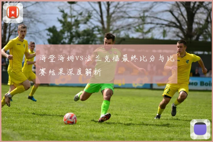 海登海姆vs法兰克福最终比分与比赛结果深度解析