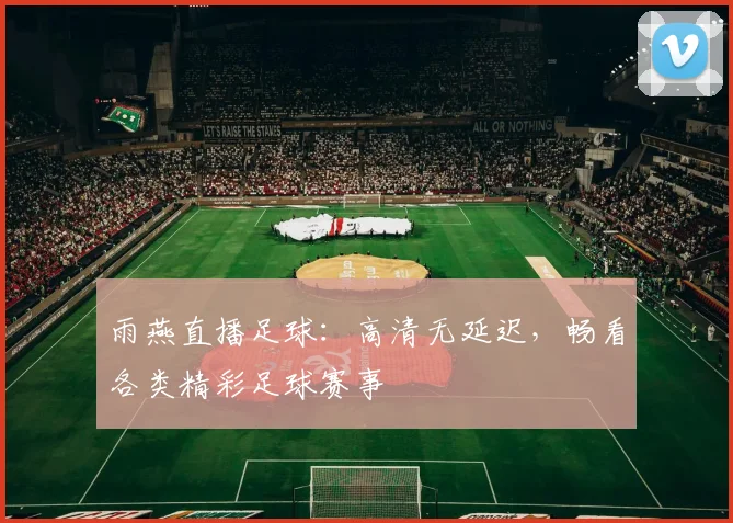 雨燕直播足球：高清无延迟，畅看各类精彩足球赛事