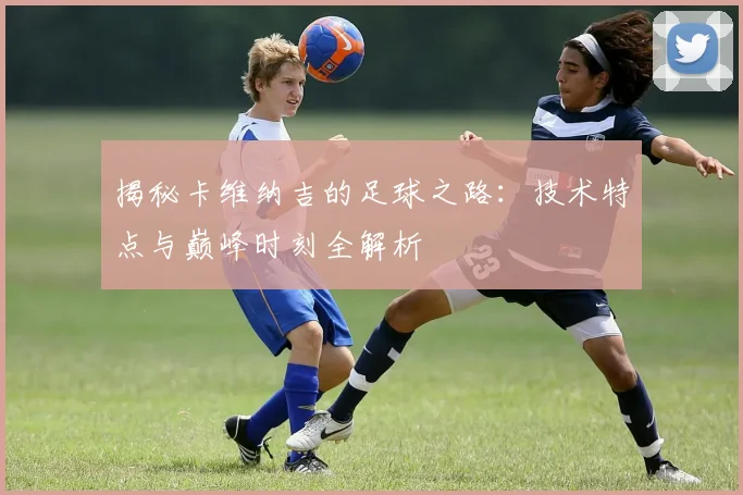 揭秘卡维纳吉的足球之路：技术特点与巅峰时刻全解析