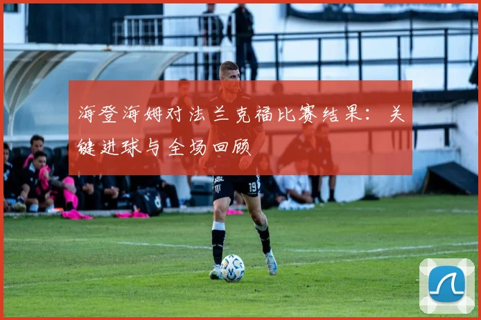 海登海姆对法兰克福比赛结果：关键进球与全场回顾