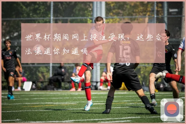 世界杯期间网上投注受限，这些合法渠道你知道吗