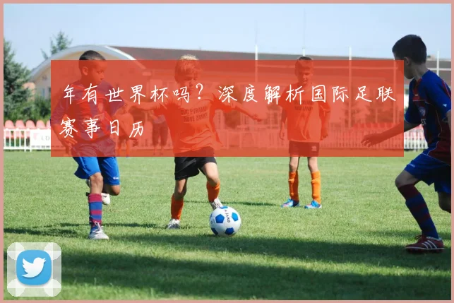 年有世界杯吗?深度解析国际足联赛事日历