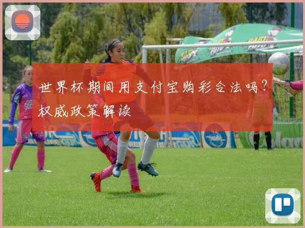 世界杯期间用支付宝购彩合法吗？权威政策解读