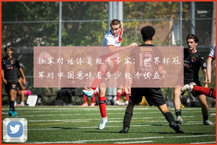 独家对话体育经济专家：世界杯冠军对中国意味着多少经济收益？