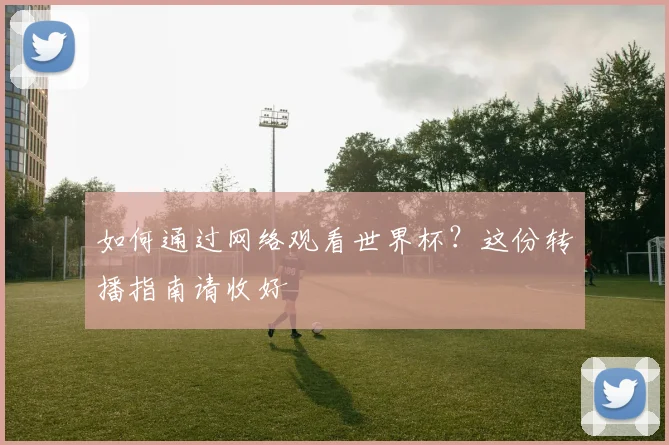 如何通过网络观看世界杯?这份转播指南请收好