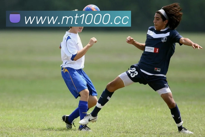 博亚体育app官方入口服务体系